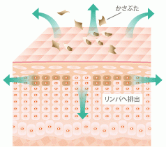シミ治療のメカニズム2
