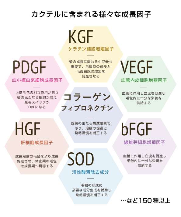 水光HARG療法_成長因子