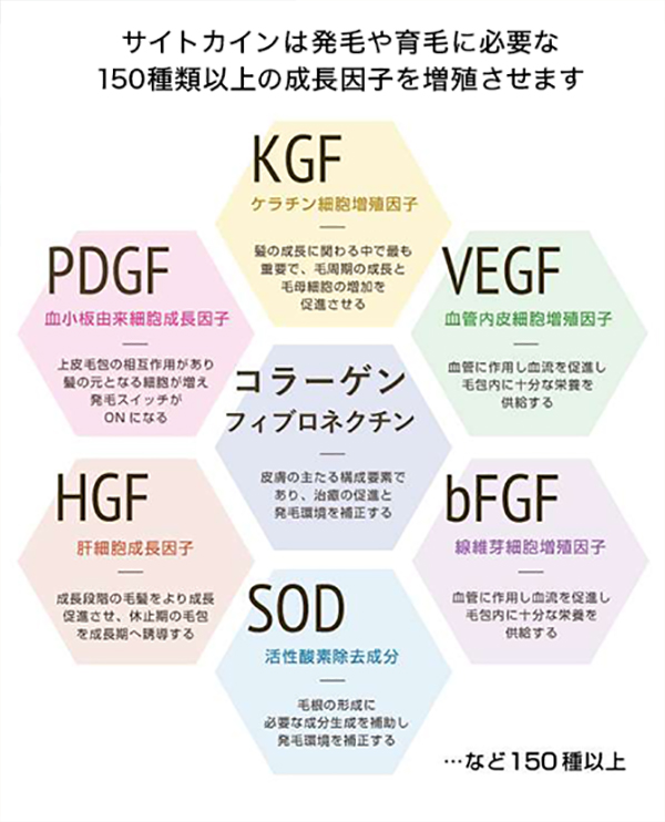 サイトカイン画像