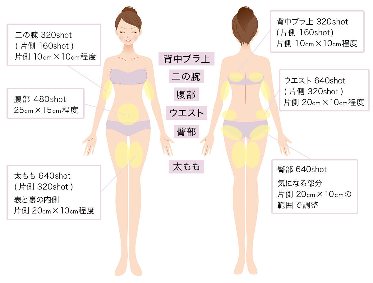 HIFUボディ！医療痩身で部分痩せ | 銀座・新宿の美容皮膚科エルクリニック【公式】